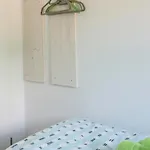 Paul Am Klostersee Urlaub Mit Hund By Interhome *